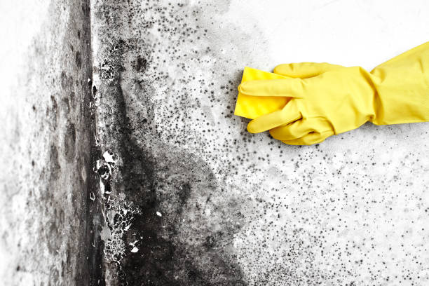 Water Damage Restoration in Chinle, AZ