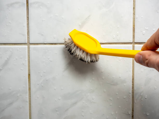 Best Affordable Mold Removal  in Chinle, AZ